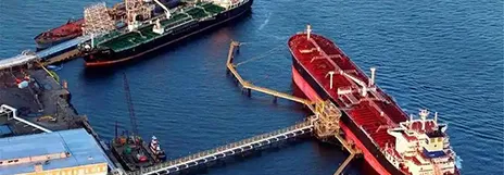 Port Terminal and Ship Security Contractor